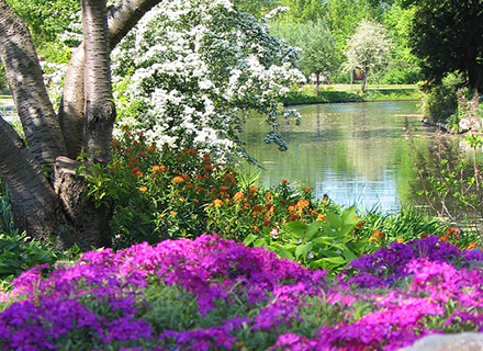 Botanische tuinen