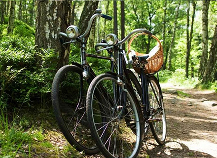 Fietsen