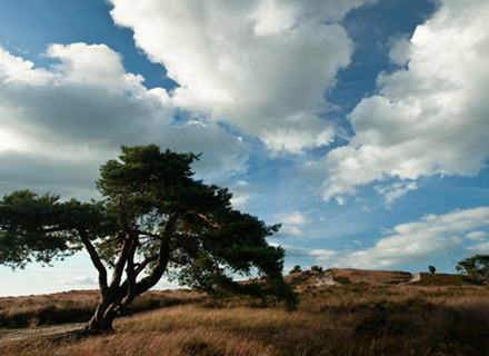 Natuurgebieden