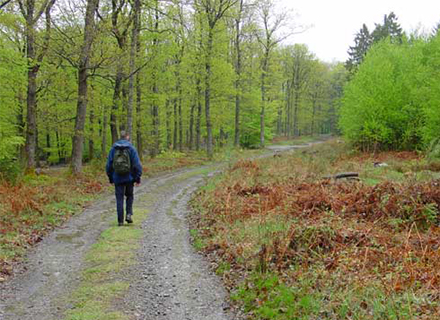 Wandelen